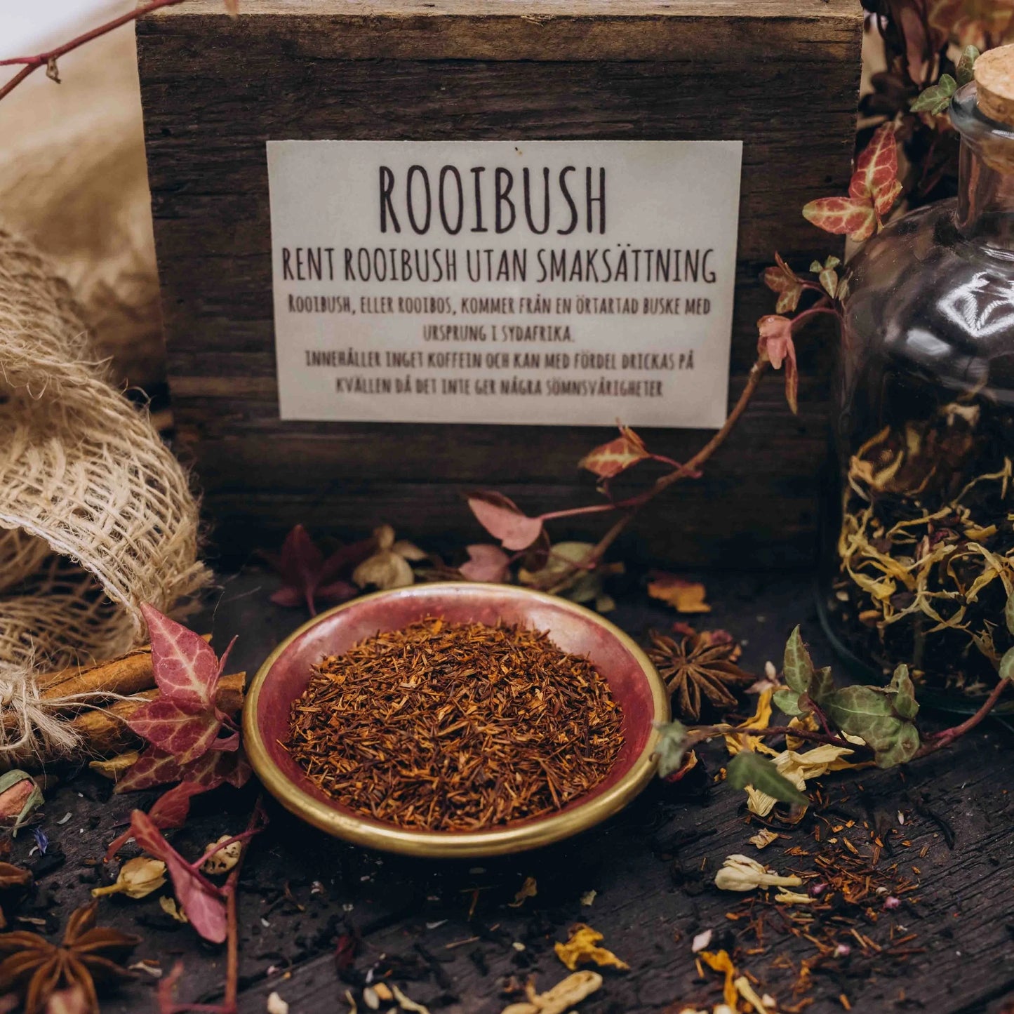 Rooibush
